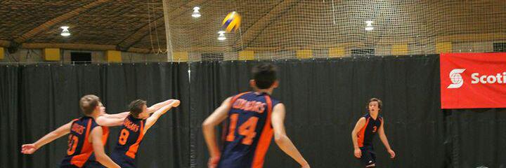 MSandeson's profile banner image