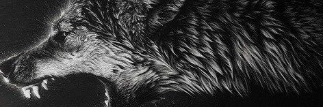 tbputraaa's profile banner image