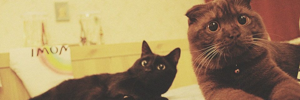 bbtsebru's profile banner image