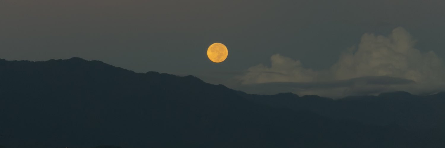 ayusasih's profile banner image