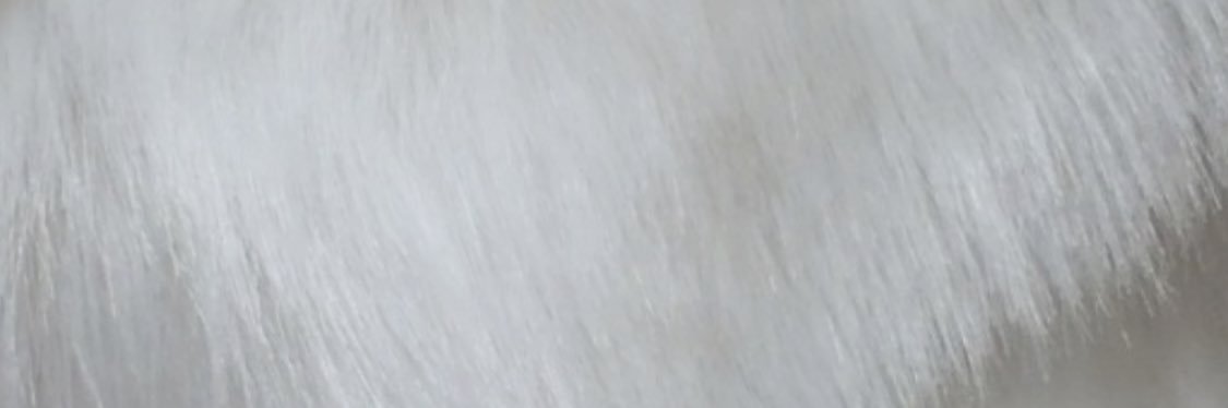 002_lavie's profile banner image