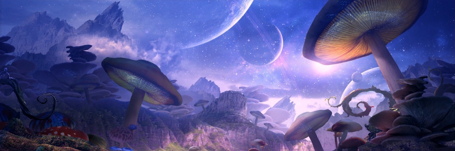 StelluR's profile banner image
