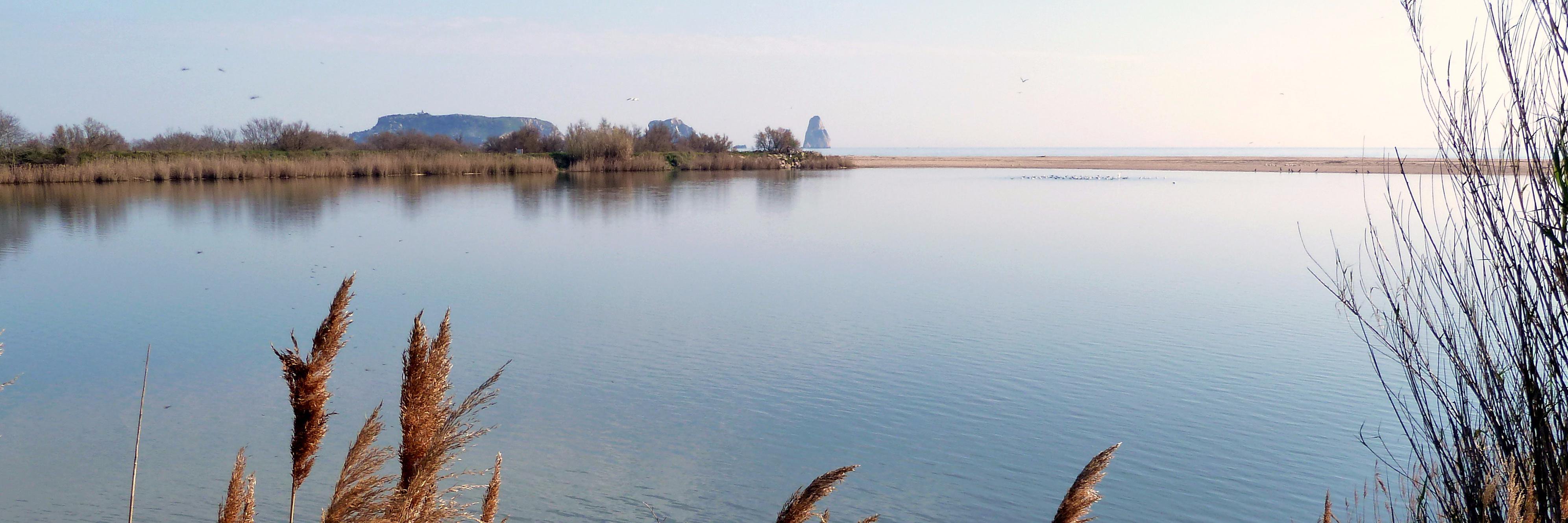 CONSERVACIO.CAT banner