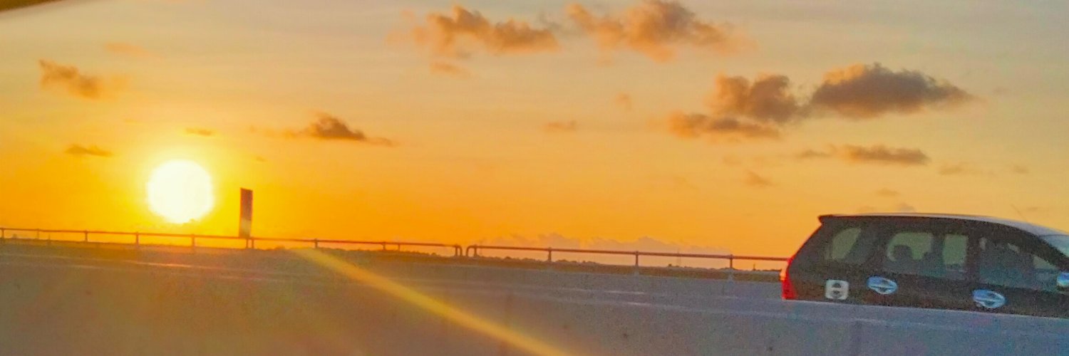 Alwyda1's profile banner image