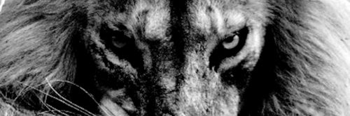 Juan Fernando Ag. banner