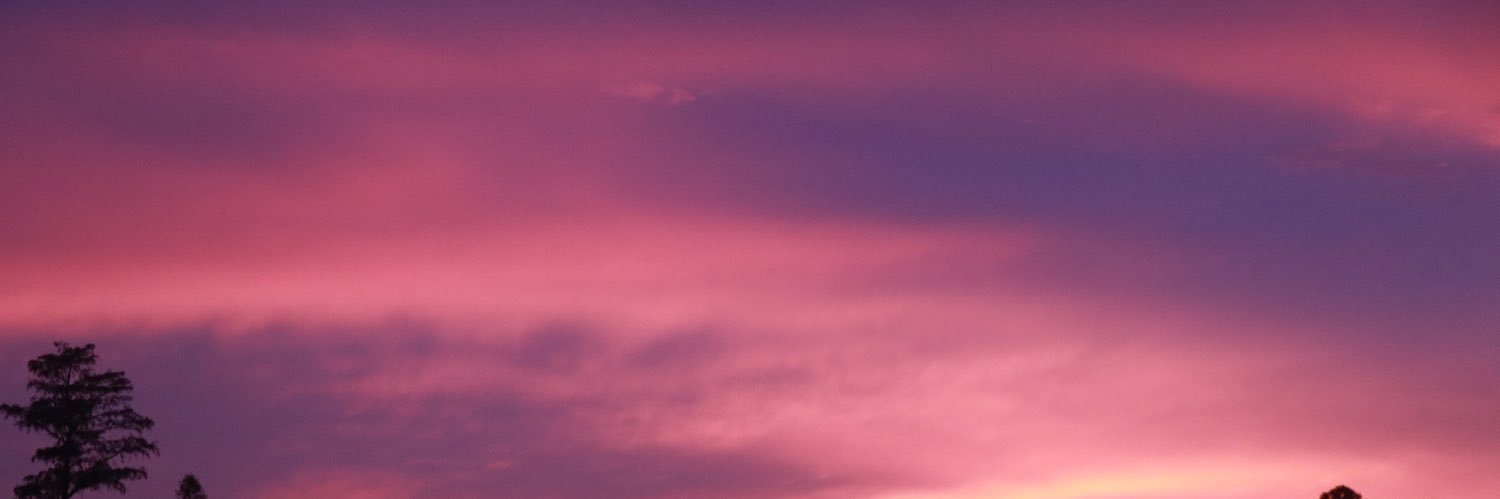 Tan__Ginger's profile banner image