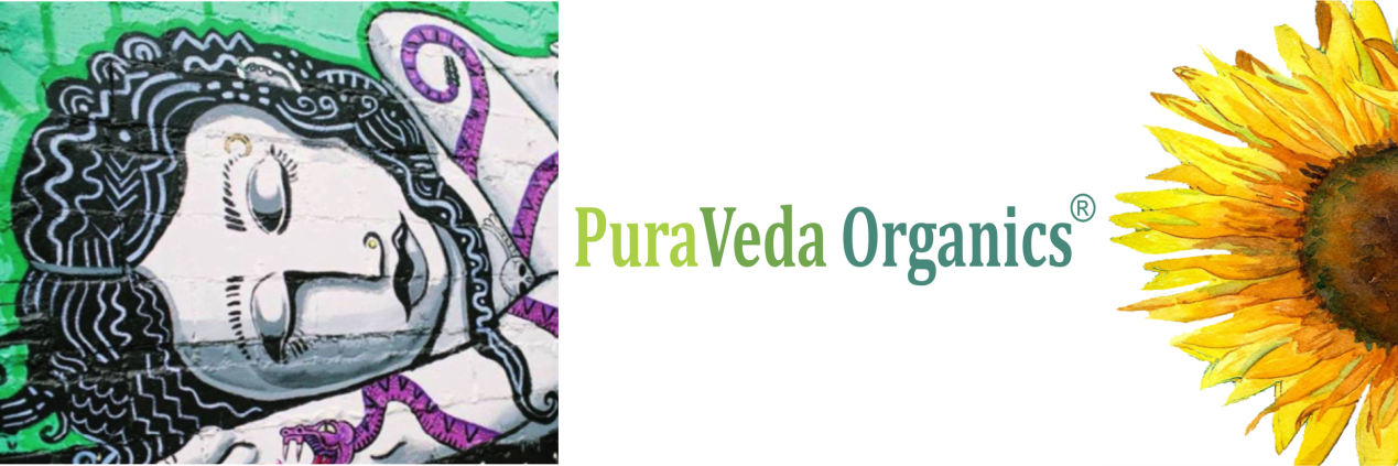 PVOrganics's profile banner image
