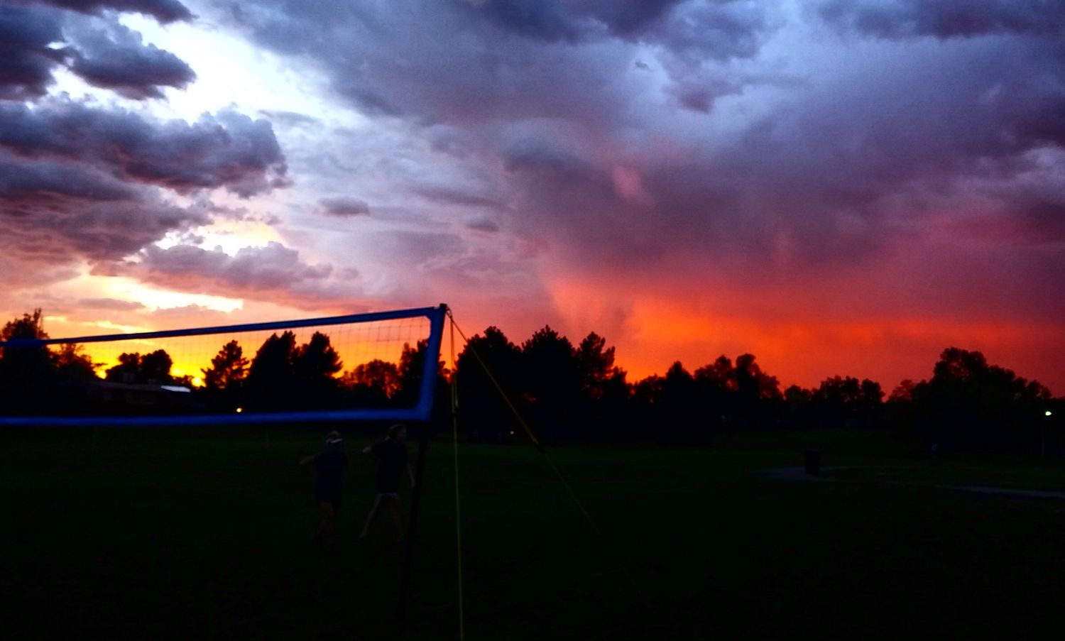 Jess Esplin (she/her) banner