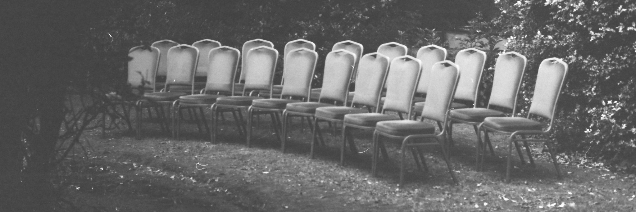 _lavezzaro_'s profile banner image