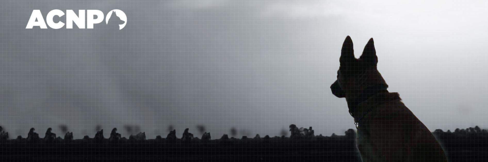 ACNP_org's profile banner image
