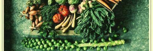 CynFullyHealthy's profile banner image