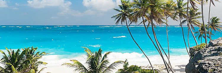 Roni 🇫🇴🇫🇴🇫🇴 banner