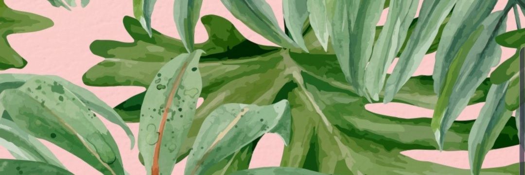 ecominimalist's profile banner image