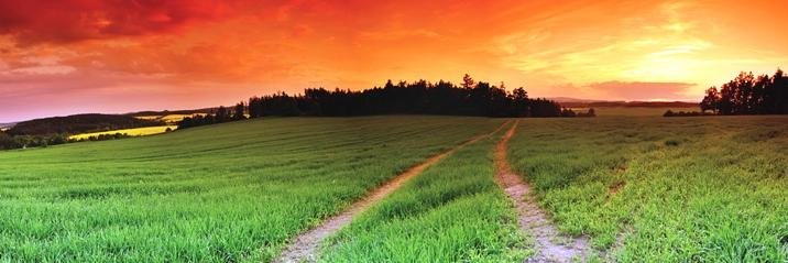 AvonValleyWA's profile banner image