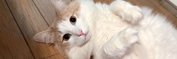KenshiroooooKen Profile Banner