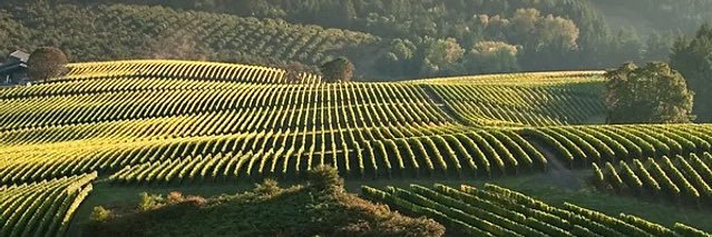 Abhi Ravishankar banner