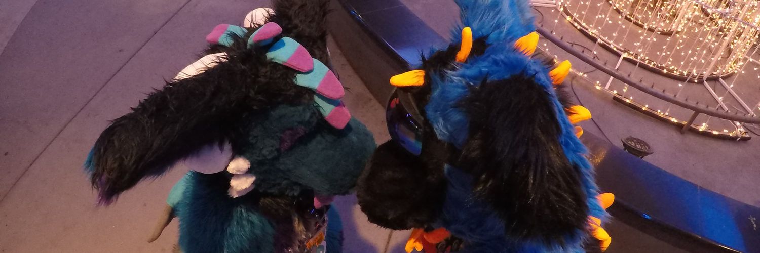 TaazeerDutchie's profile banner image