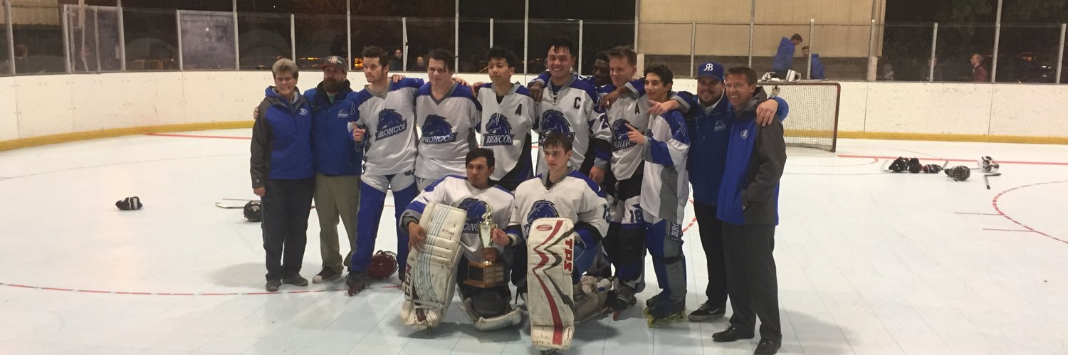 RBRollerHky's profile banner image