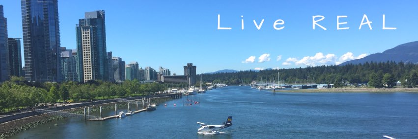 lindampurcell's profile banner image