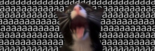 imleeegwaras Profile Banner