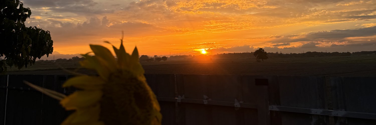 ashleyxjf's profile banner image