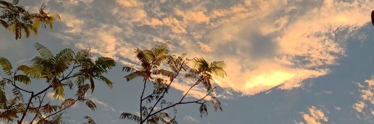 PZHG__'s profile banner image