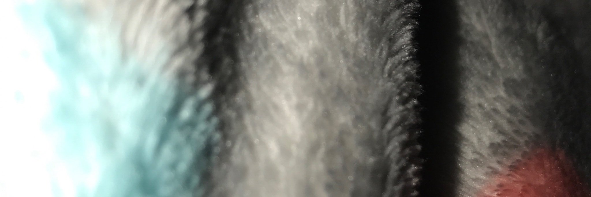 b_bbbbbkbbb's profile banner image