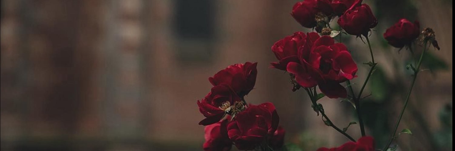 saro_na_'s profile banner image