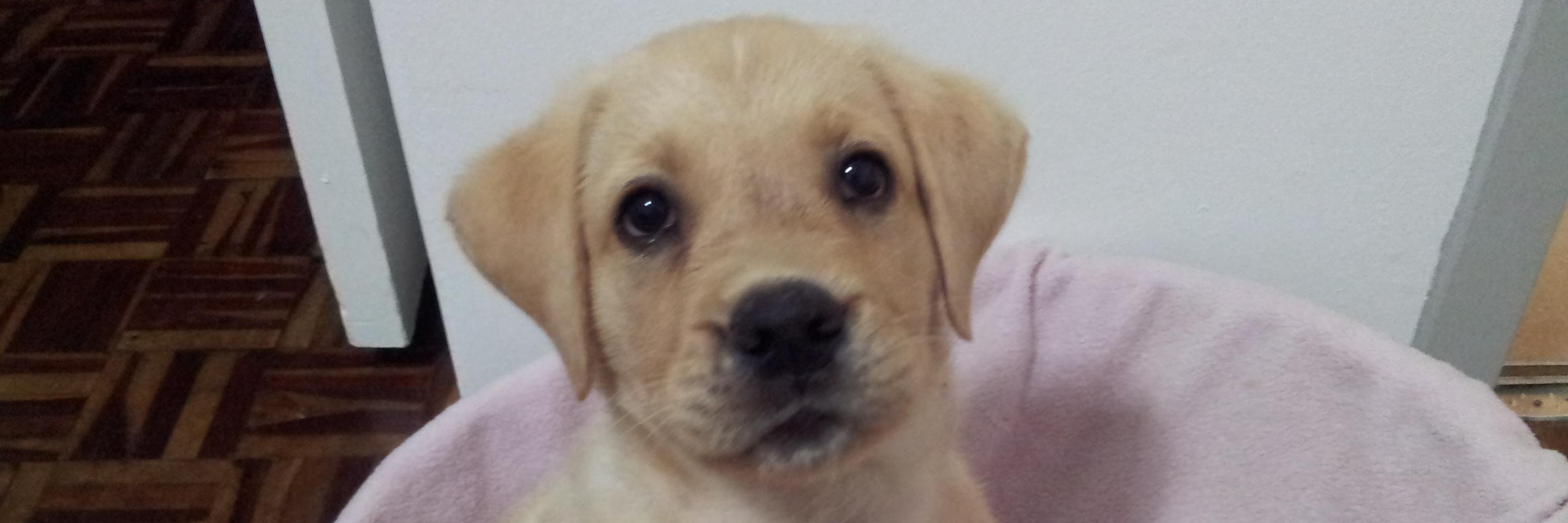 tracyleeeynon1's profile banner image