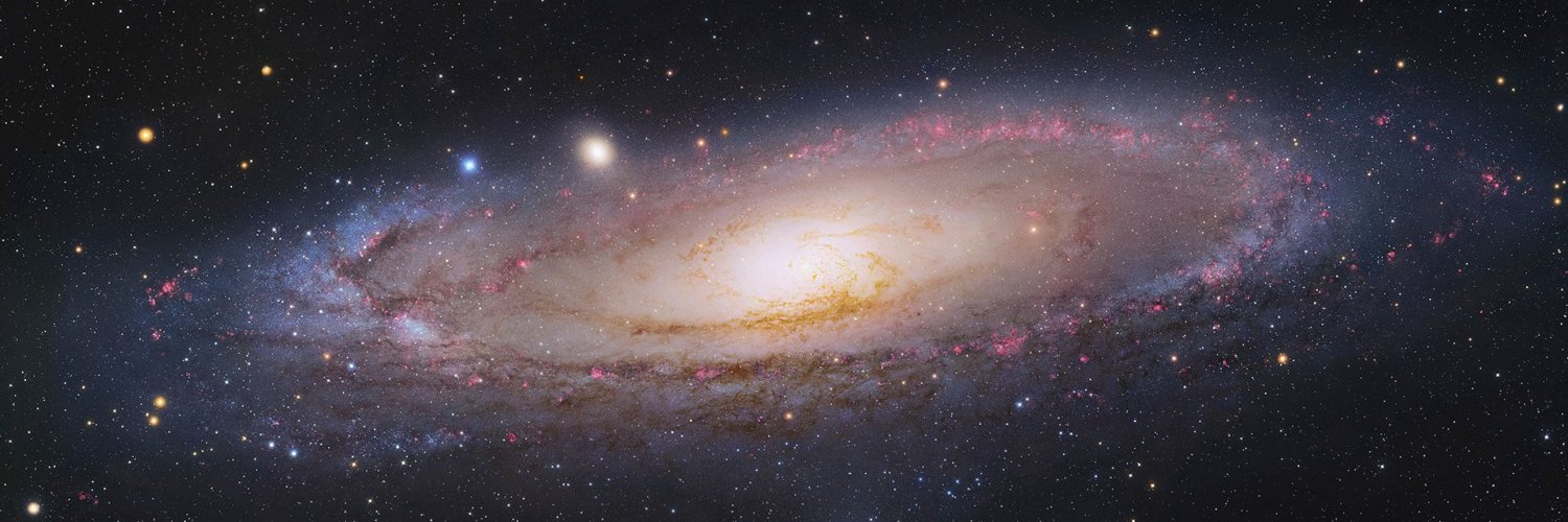 ダンディ🎙(´∀｀)🎹 banner