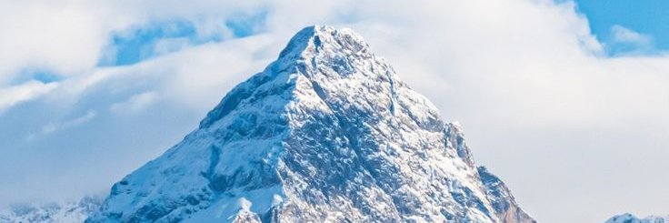 BreastBet's profile banner image