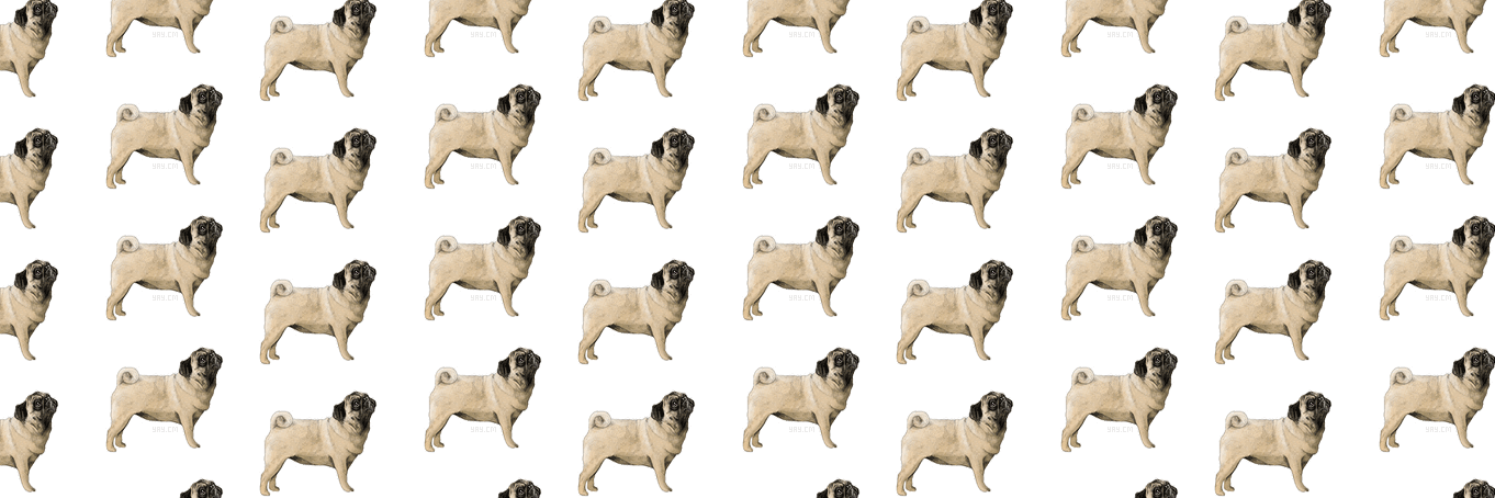 RealRoseCheeks's profile banner image