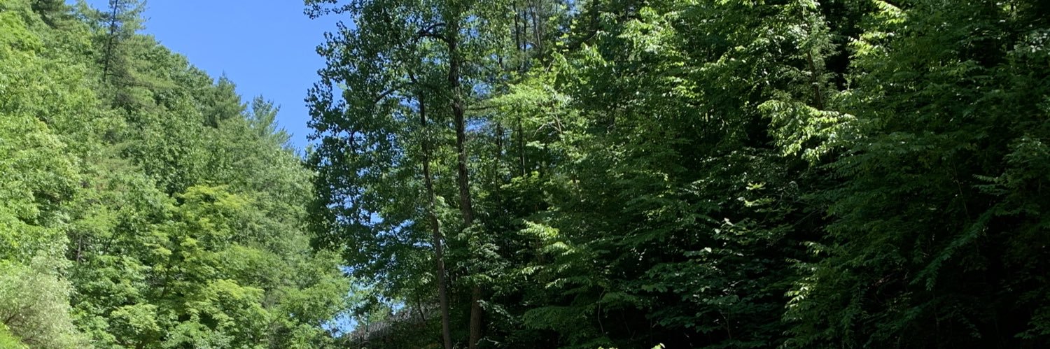 chelsgeorge_'s profile banner image