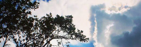 Tunist_Update's profile banner image