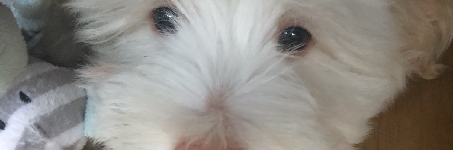 Lynndock's profile banner image