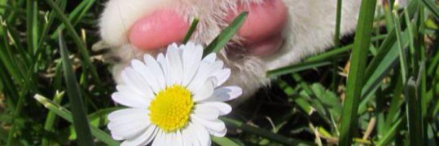 _joweey_'s profile banner image