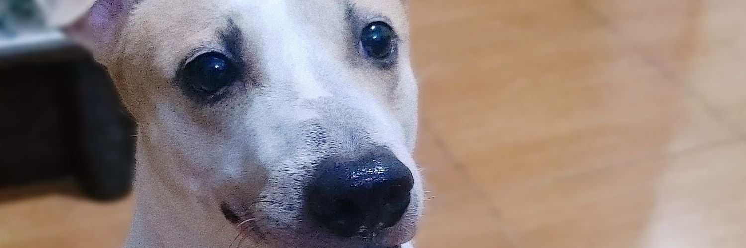laurensaaaa's profile banner image