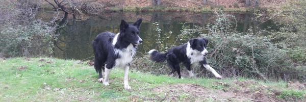 KCascante Profile Banner