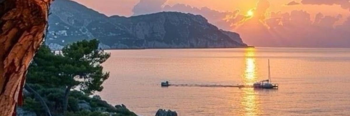 SAAD__1986's profile banner image