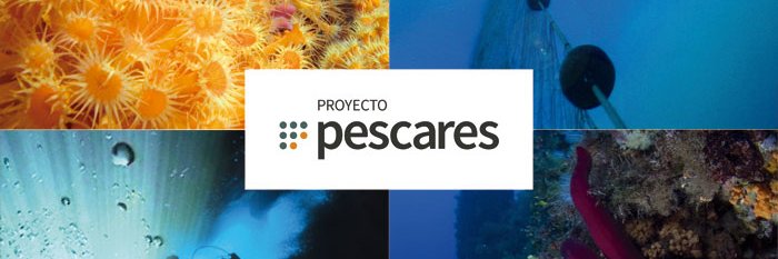 Proyt_Pescares's profile banner image