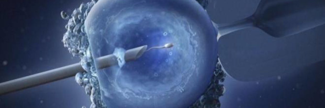 Madu, Eghosa (Ph.D) banner