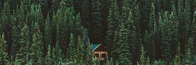 jubjordan's profile banner image