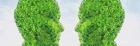 sadiqmsaeed's profile banner image