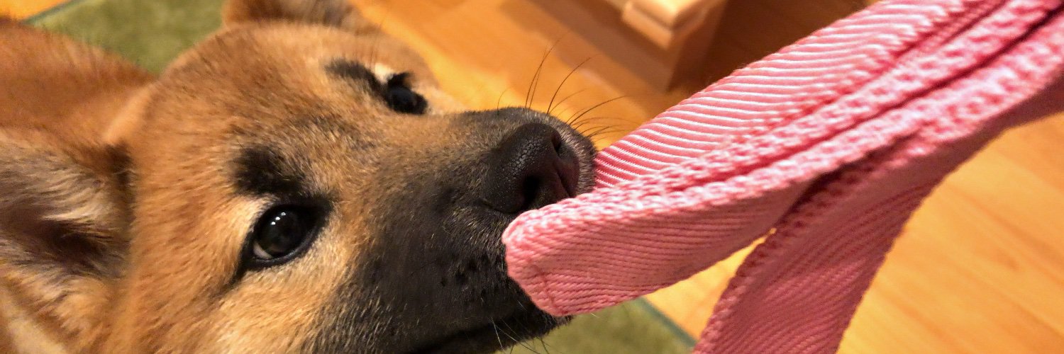 kittymame48's profile banner image