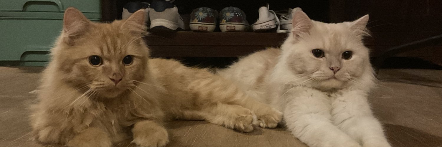 httpfernss's profile banner image