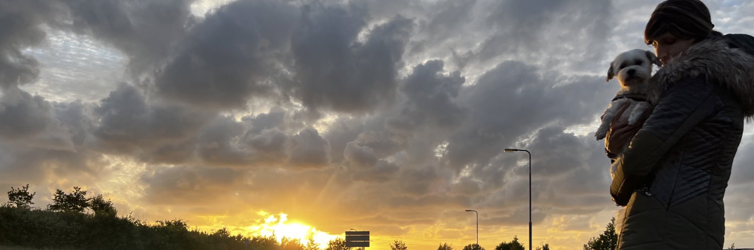 Gwen and her TinyRPG 🥚🦖 for ⌚️ banner