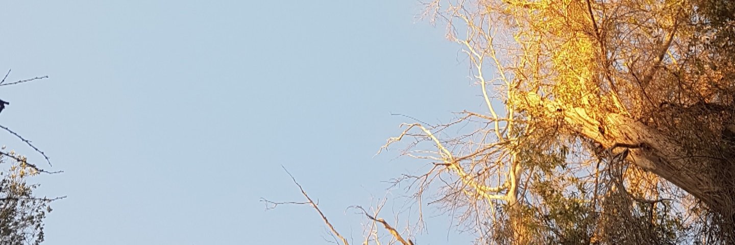 khalilovic007's profile banner image