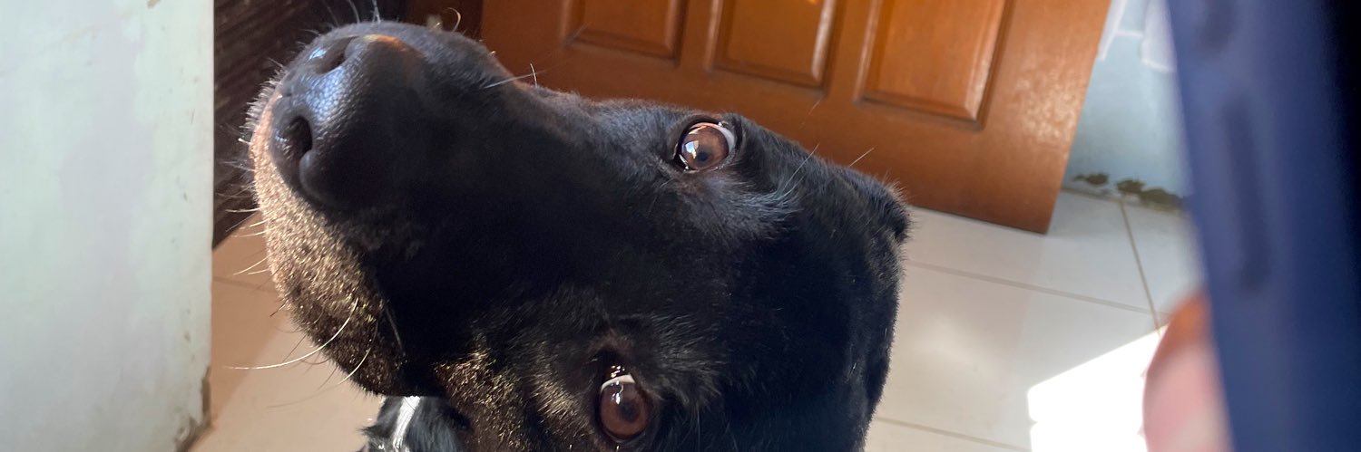 D721462's profile banner image