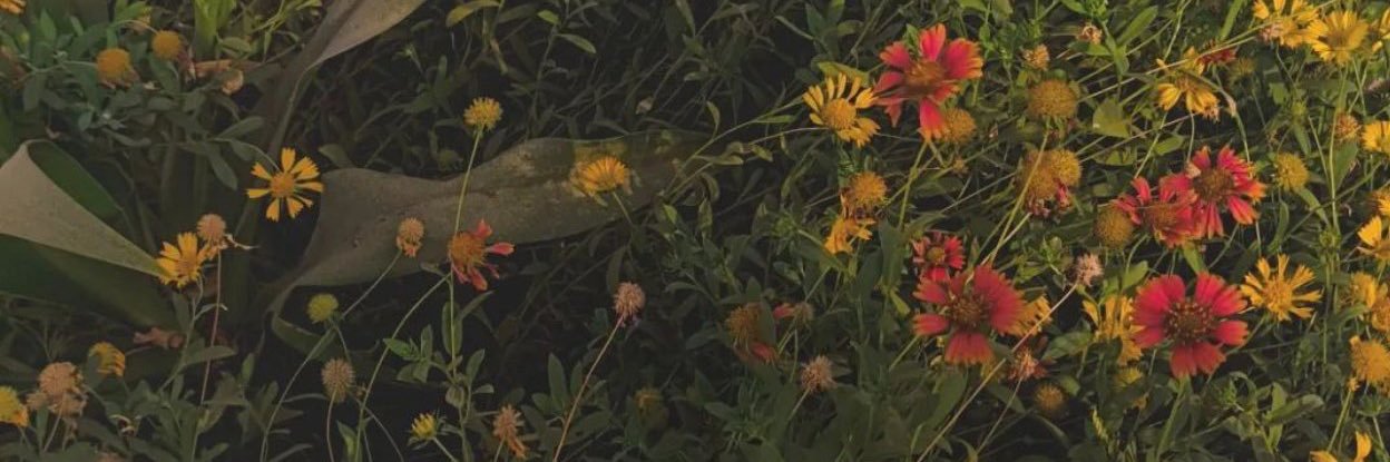 MennaAllahHatem's profile banner image