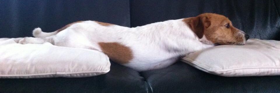 M&M🇦🇺ｵｰｼﾞｰ暮らしのｽﾞﾎﾞﾗｯﾃｨ banner